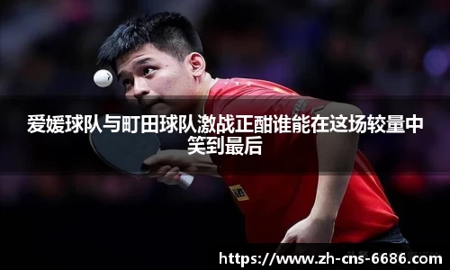 爱媛球队与町田球队激战正酣谁能在这场较量中笑到最后